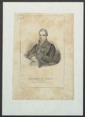 Portrait de M. le Baron François Edme Joseph Martineau des Chesnez (Auxerre, 1791-1870), secrétaire général du Ministère de la Guerre, conseiller d'État, baron héréditaire, maire d'Auxerre