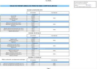 101 Ko - 2022-065 Personnel municipal – Actualisation du régime indemnitaire (ouvre la visionneuse)