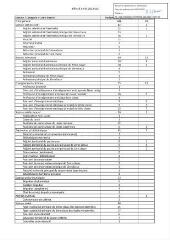 172 Ko - 2023-055 Personnel municipal – Modification du tableau des effectifs réglementaires (ouvre la visionneuse)