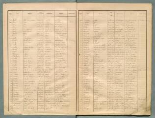 33 vues - Listes électorales de 1909, canton est. (ouvre la visionneuse)