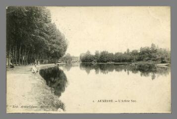 1 vue - 1. Auxerre. L\'Arbre Sec (ouvre la visionneuse)