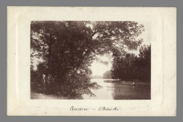 1 vue - Auxerre. L\'Arbre Sec (ouvre la visionneuse)