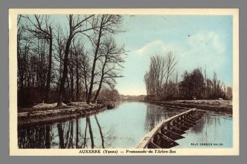 1 vue - Auxerre. Promenade de l\'Arbre Sec (ouvre la visionneuse)