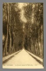 1 vue - 108. Auxerre. La Grande Avenue de l\'Arbre Sec (ouvre la visionneuse)