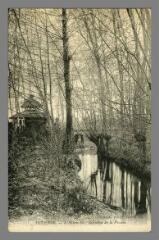 1 vue - Auxerre. L\'Arbre Sec, Ruisseau de la piscine (ouvre la visionneuse)