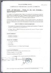 2 vues - 2008-223 Saint-Georges – révision du plan local d\'urbanisme (PLU) – représentation de la ville au groupe de travail (ouvre la visionneuse)