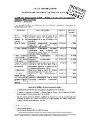 211 Ko - 2009-075 Budget principal 2009 – attribution de subventions exceptionnelles – annulation d\'une subvention (ouvre la visionneuse)