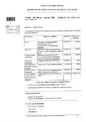 144 Ko - 2010-007 Budget principal 2009 – Attribution de subventions exceptionnelles (ouvre la visionneuse)