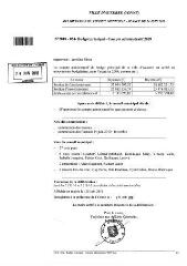 118 Ko - 2010-054 Budget principal – Compte administratif 2009 (ouvre la visionneuse)