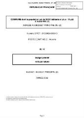 2463 Ko - 2021-173 Budget primitif 2022 – Budget principal (ouvre la visionneuse)