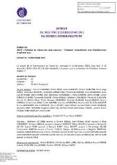 131 Ko - 2024-315 Pollution du réseau des eaux pluviales – Protocole transactionnel avec l\'établissement Amplitude Auto (ouvre la visionneuse)